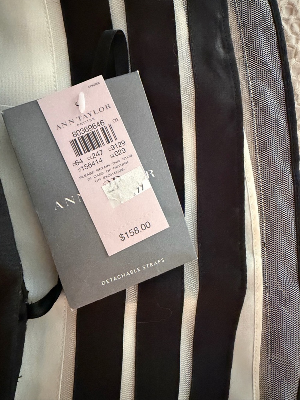 Ann Taylor Cream Dress with Black Trim - Picture 7 of 8